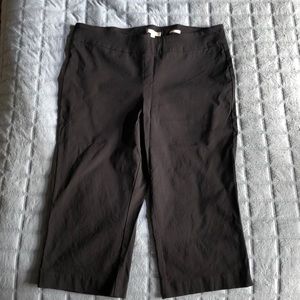 Dana Buchanan Straight Capri Pants